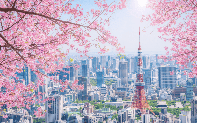 桜と東京都市風景
