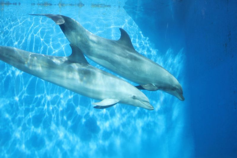 水族館の設備